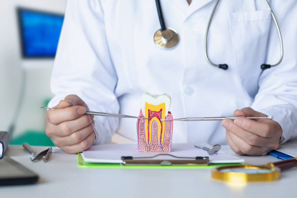 Best Root Canal Emergency Dentist  in Clarkdale, AZ